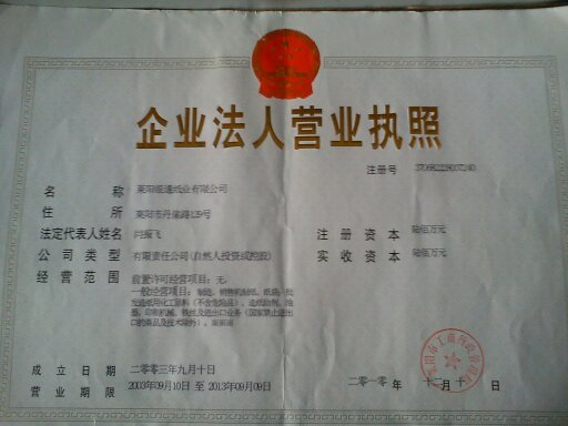 BUSINESS LICENSE