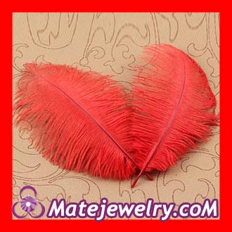 Ostrich feather hair extensions wholesale