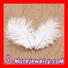 White ostrich feathers Hair Extensions