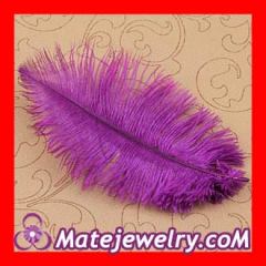 ostrich plume feathers bulk