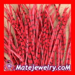 Red Striped Goose Biots Loose Feather Hair Extensions Wholesale