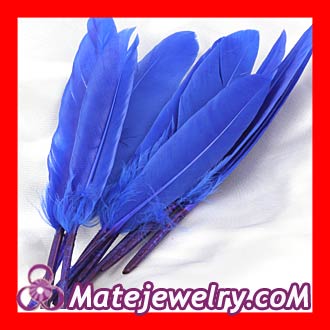 Goose Feather Hair Extensions Wholesale