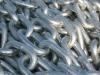 No file galvanized chain