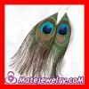 Natural Peacock Eye Fringe Feather Earrings With Alloy Fishhook Wholesale