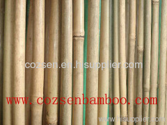 bamboo stake xiamen