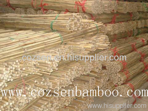 natural bamboo stakes