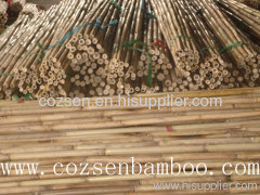 dry bamboo pole