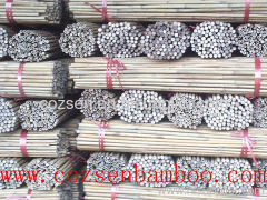 Bamboo Cane Pole