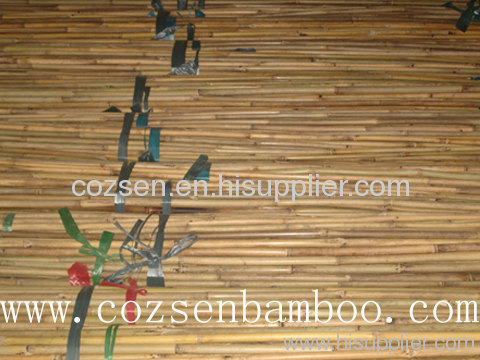 tokin bamboo pole