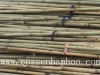 Natural Bamboo Pole