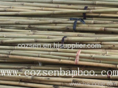 Natural Bamboo Pole