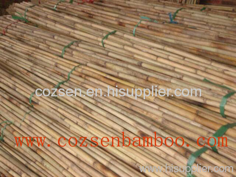 natural bamboo stake tokin bamboo stakes china bamboo pole