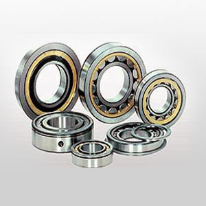N202-E-TVP2 Cylindrical roller bearings