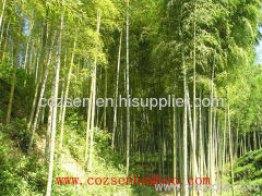 OEM raw bamboo poles