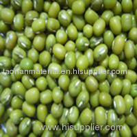 green mung beans