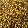 Yellow mung beans (2011 Crop)