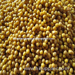 Yellow mung beans (2011 Crop)