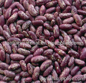 Purple speckled kidney beans (2011 Crop)