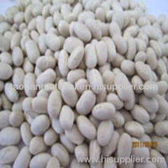 Japan white kidney beans (2010 Crop)