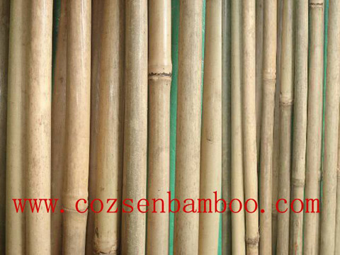 supply bamboo