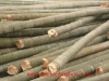 natural bamboo