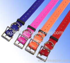 Fresh dog collars