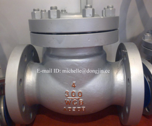 300LB swing check valve