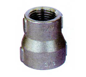 Pipe fitting- REDUCER SOCKET FIG NO.13