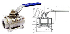 Stainless Steel Ball valve