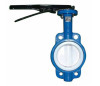 PTFE-lined wafer butterfly valves butterfly