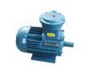YB2 Series Explosion-Proof Three Phase Induction Motor