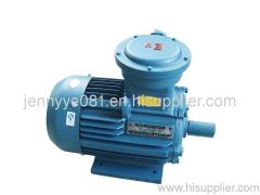 electric motor