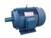 YD series electric motor