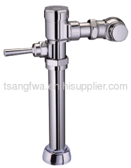 Manual piston flush valve
