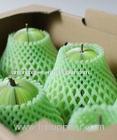 fruit mesh bag