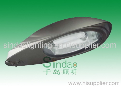 induction lamp & street light