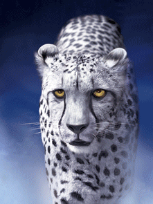 gifts, arts & crafts  crafts gifts  other  3d animal picture art