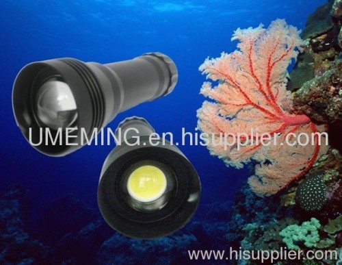 LED Sealife Flashlight