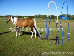 color full horse bridle