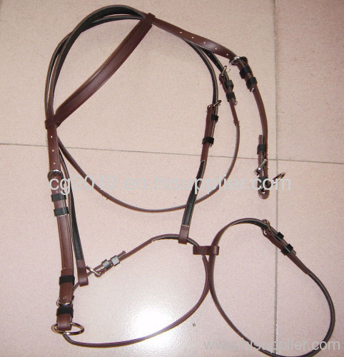 horse bridle