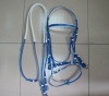 blue and white horse bridle