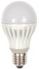 High Power LED Bulb