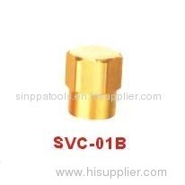 Valve Cap