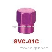 Valve Cap