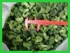 IQF Broccoli whole