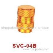 Valve Cap