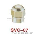 Valve Cap