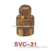 Valve Cap