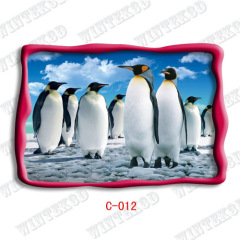 penguin picture post card