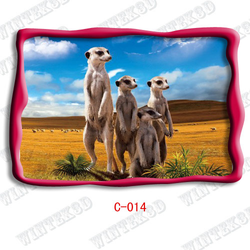 animal picture 3d post cards